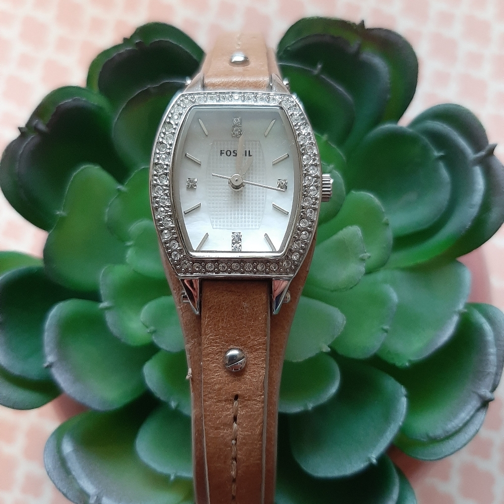 Fossil watch